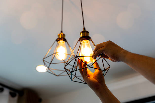 Best Industrial Electrical Services  in Harlem Heights, FL