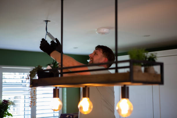 Best Electric Panel Repair  in Harlem Heights, FL